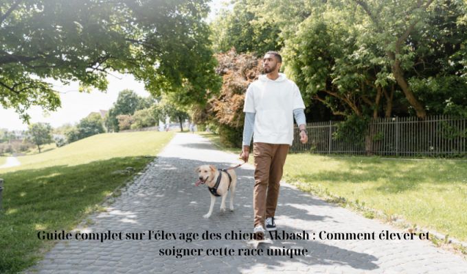 Guide complet sur l’élevage des chiens Akbash : Comment élever et soigner cette race unique