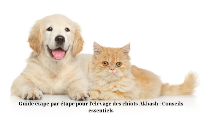 Guide étape par étape pour l’élevage des chiots Akbash : Conseils essentiels