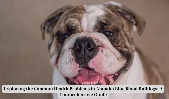 Exploring the Widespread Well being Issues in Alapaha Blue Blood Bulldogs: A Complete Information Exploring the Widespread Well being Issues in Alapaha Blue Blood Bulldogs: A Complete Information