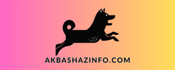 akbashazinfo.com