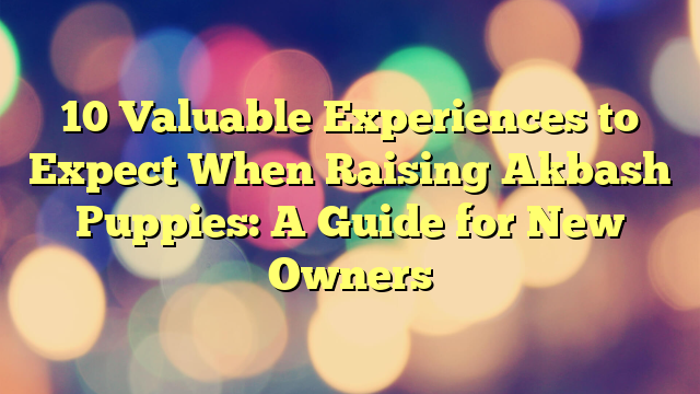 10 Precious Experiences to Count on When Elevating Akbash Puppies: A Information for New Homeowners