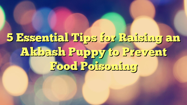 5 Important Suggestions for Elevating an Akbash Pet to Stop Meals Poisoning