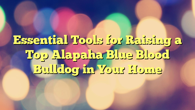 Important Instruments for Elevating a Prime Alapaha Blue Blood Bulldog in Your Dwelling