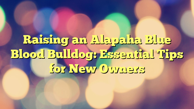 Elevating an Alapaha Blue Blood Bulldog: Important Ideas for New House owners
