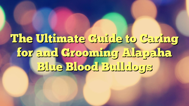 The Final Information to Caring for and Grooming Alapaha Blue Blood Bulldogs