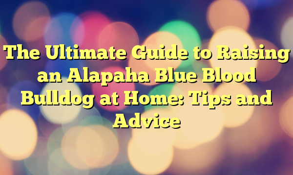 The Final Information to Elevating an Alapaha Blue Blood Bulldog at Dwelling: Ideas and Recommendation
