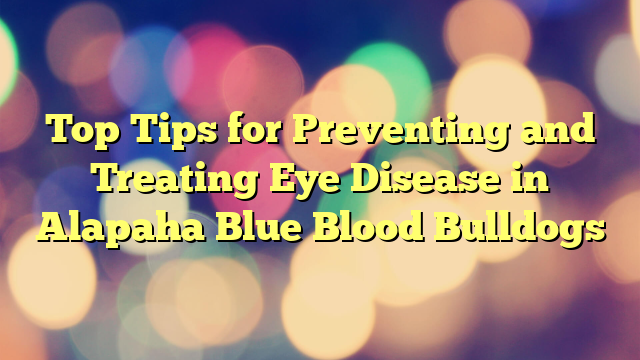 High Suggestions for Stopping and Treating Eye Illness in Alapaha Blue Blood Bulldogs